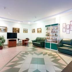 Гостиница Эврика Йошкар-Ола-105