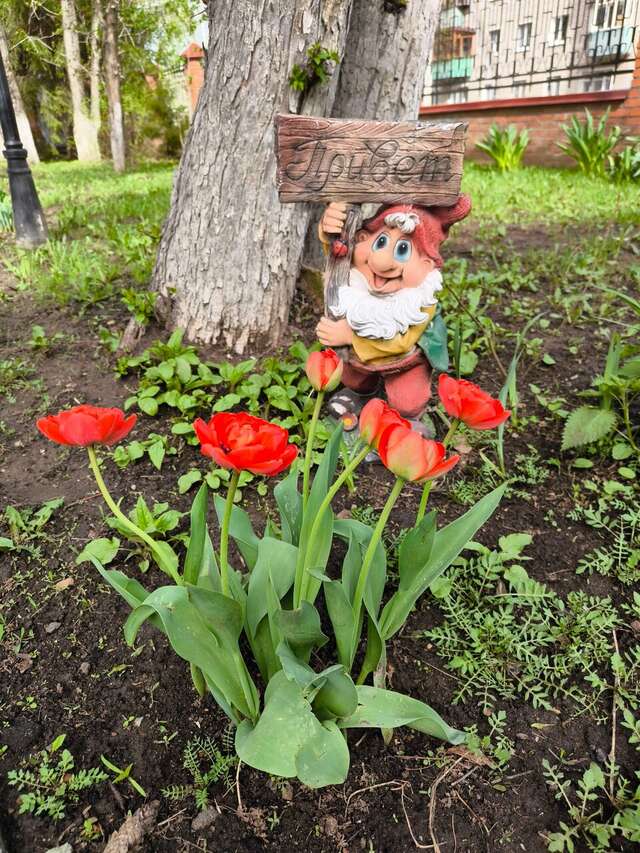 Гостиница Эврика Йошкар-Ола-251